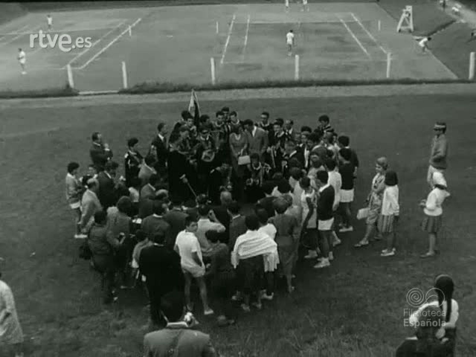 NOT N 971 C - NO-DO | Ver