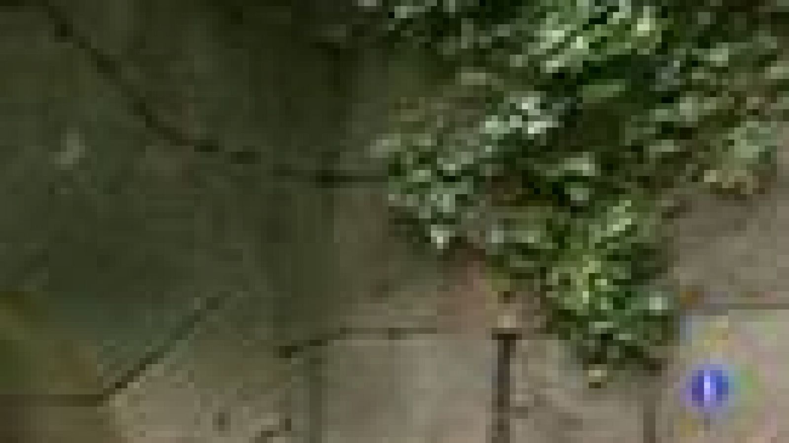 Monasterio en venta del románico por 300 mil euros