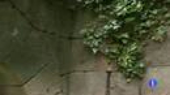 Telediario 1 - Monasterio en venta