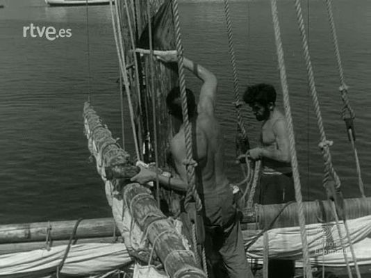 NO-DO - NOT N 1033 B