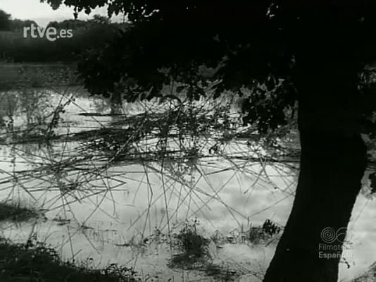 NO-DO - NOT N 1033 C