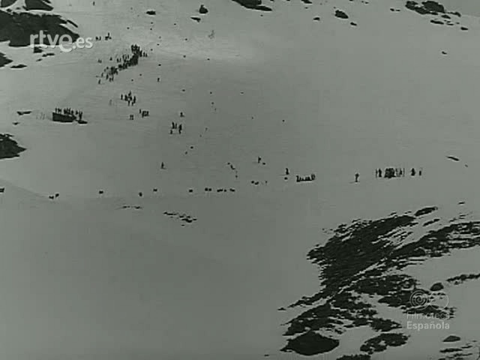 NOT N 1008 C - NO-DO | Ver