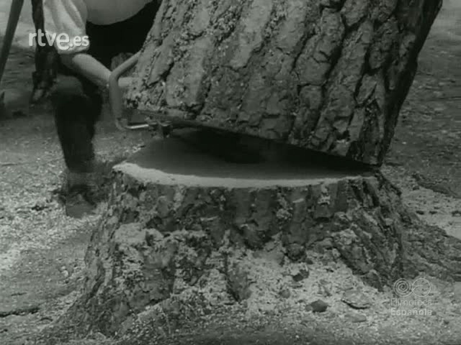 NOT N 1016 A - NO-DO | Ver