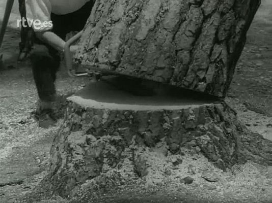 NO-DO - NOT N 1016 A