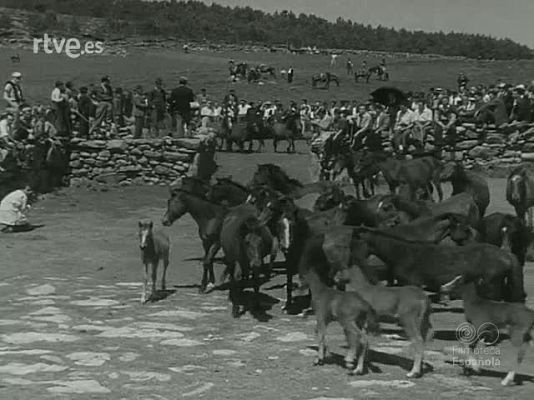 NO-DO - NOT N 1017 C