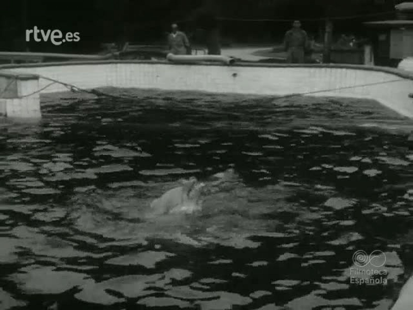 NOT N 1235 B - NO-DO | Ver