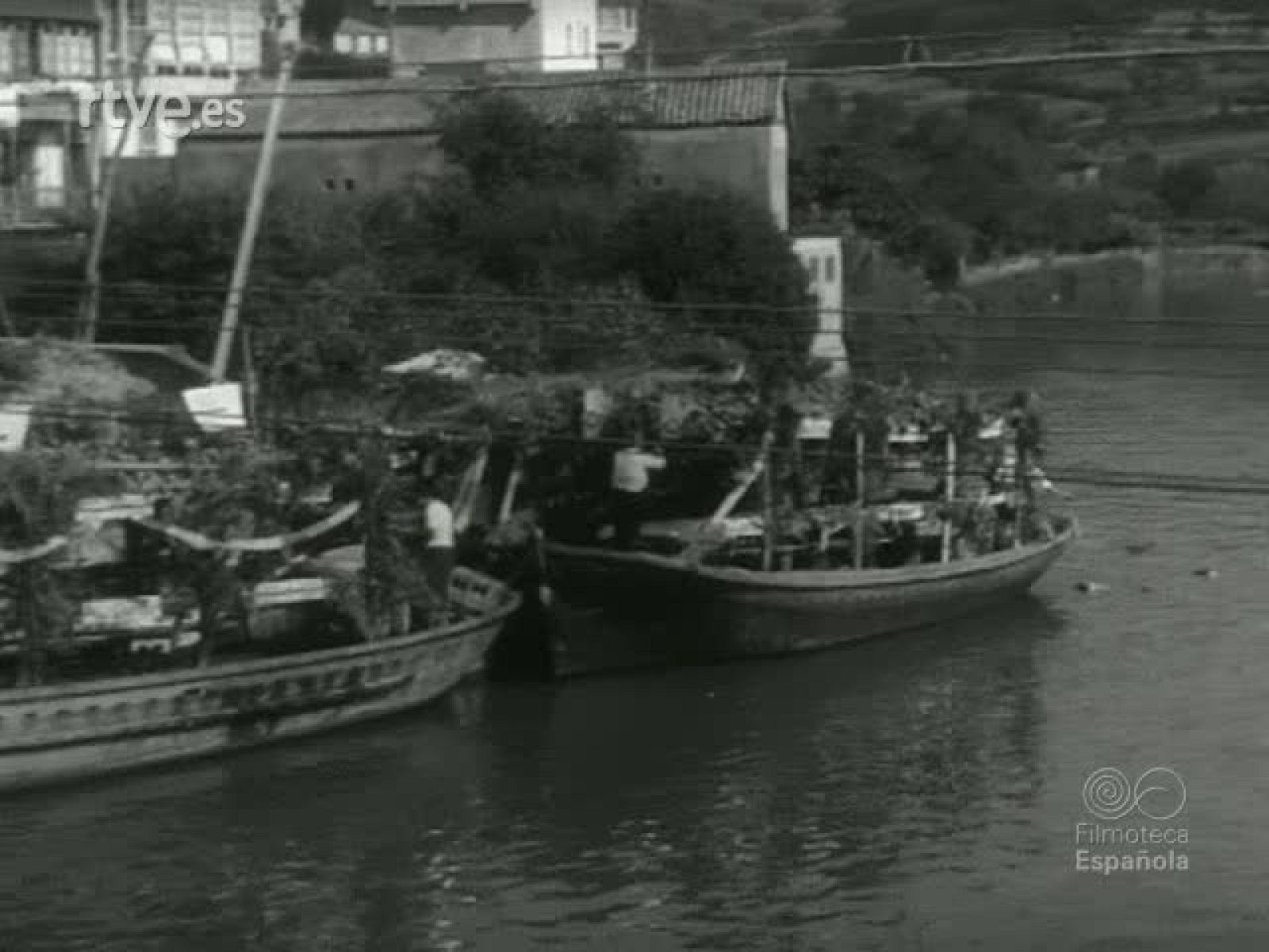 NOT N 1234 C - NO-DO | Ver