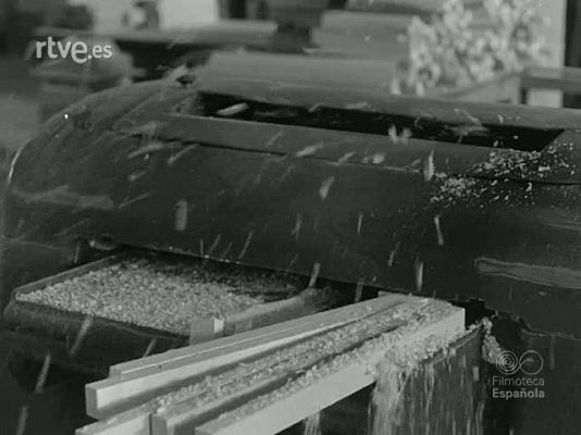 NO-DO - NOT N 1239 B