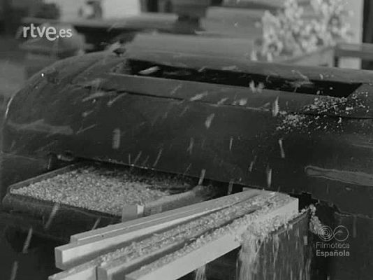 NO-DO - NOT N 1239 B