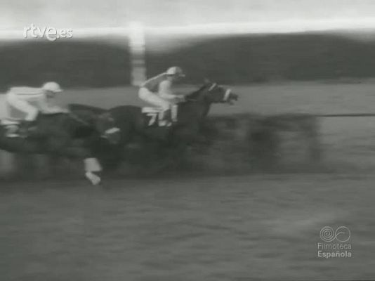 NO-DO - NOT N 1223 A