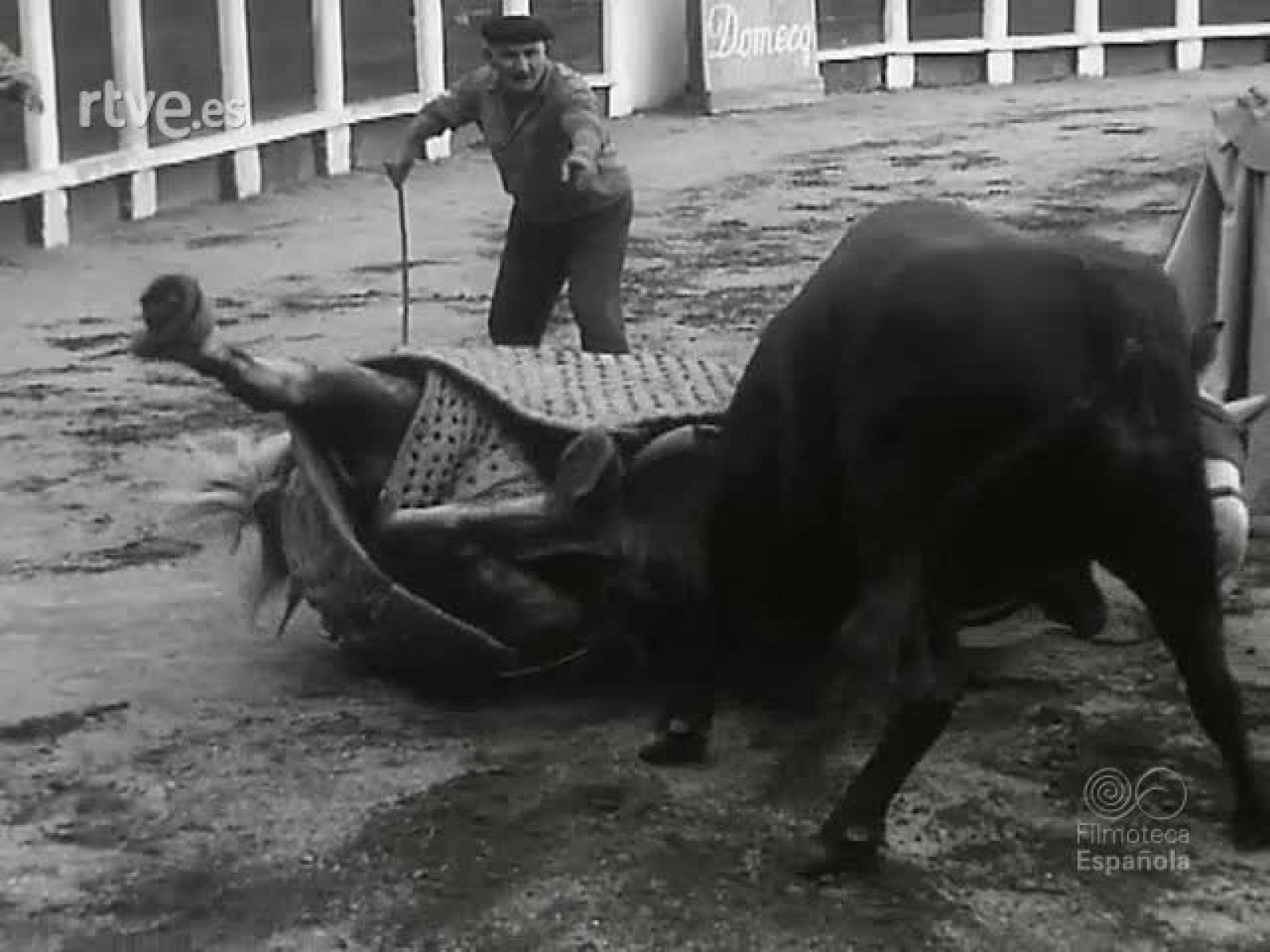 NOT N 1231 C - NO-DO | Ver