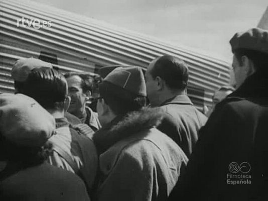 NO-DO - NOT N 1115 B