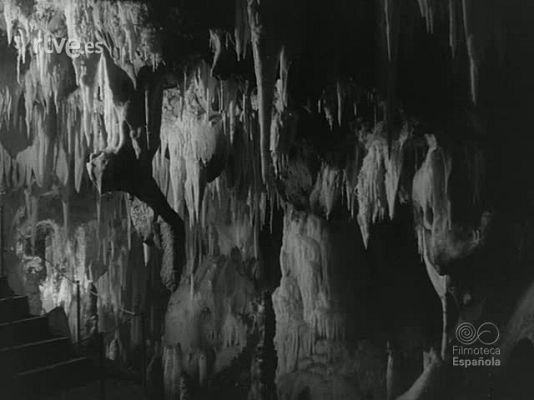 NO-DO - NOT N 1125 C