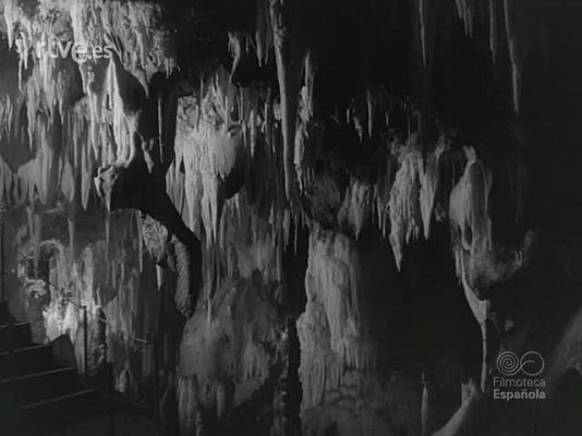 NO-DO - NOT N 1125 C