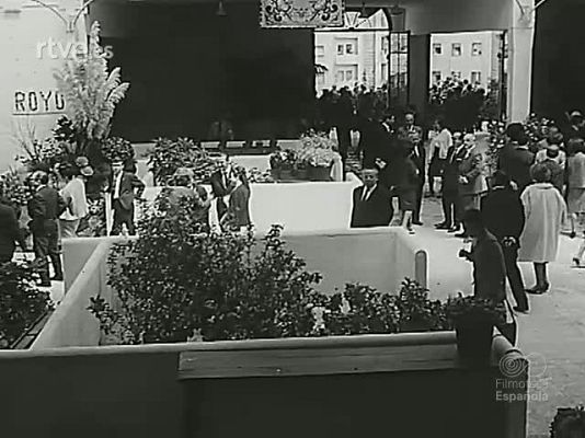 NO-DO - NOT N 1116 B