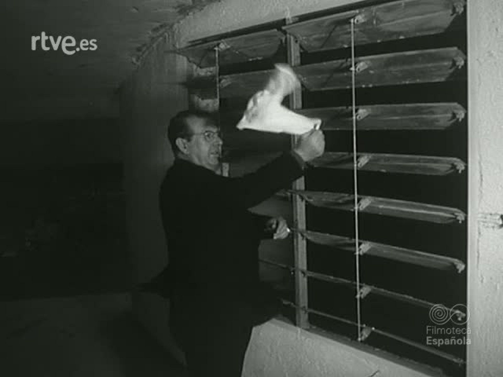 NOT N 1107 A - NO-DO | Ver