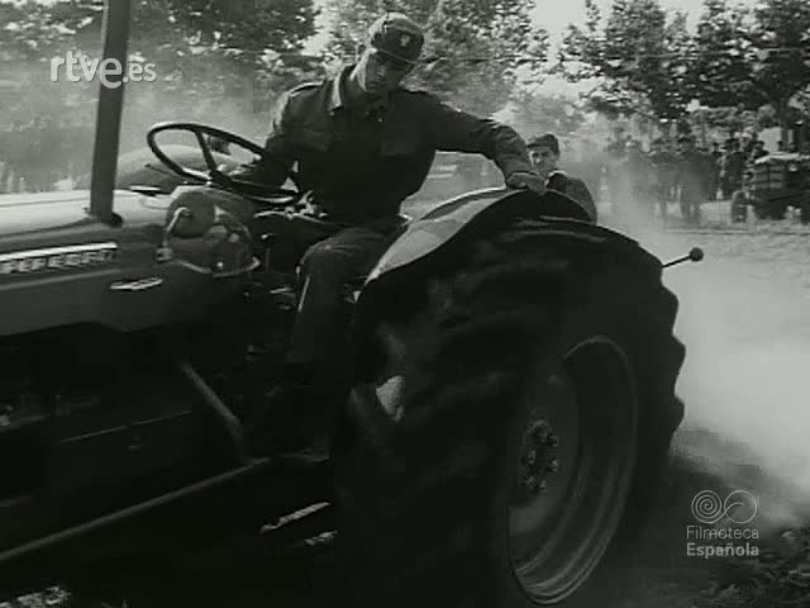 NOT N 1120 C - NO-DO | Ver