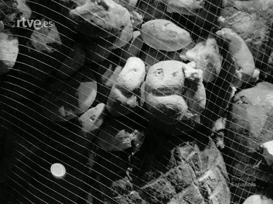 NO-DO - NOT N 1160 B