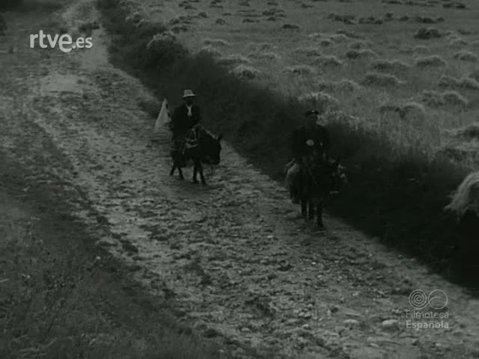 NOT N 1176 C - NO-DO | Ver