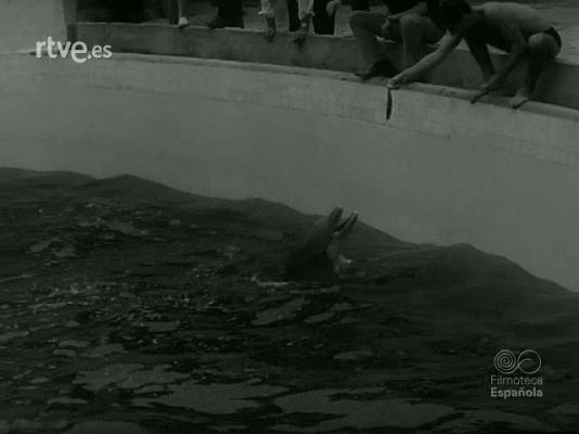 NO-DO - NOT N 1180 C