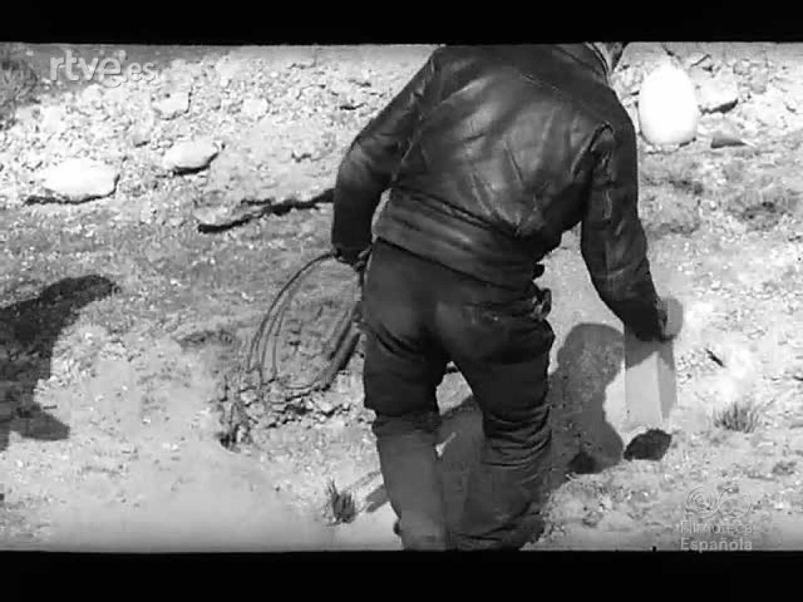 NOT N 1165 A - NO-DO | Ver