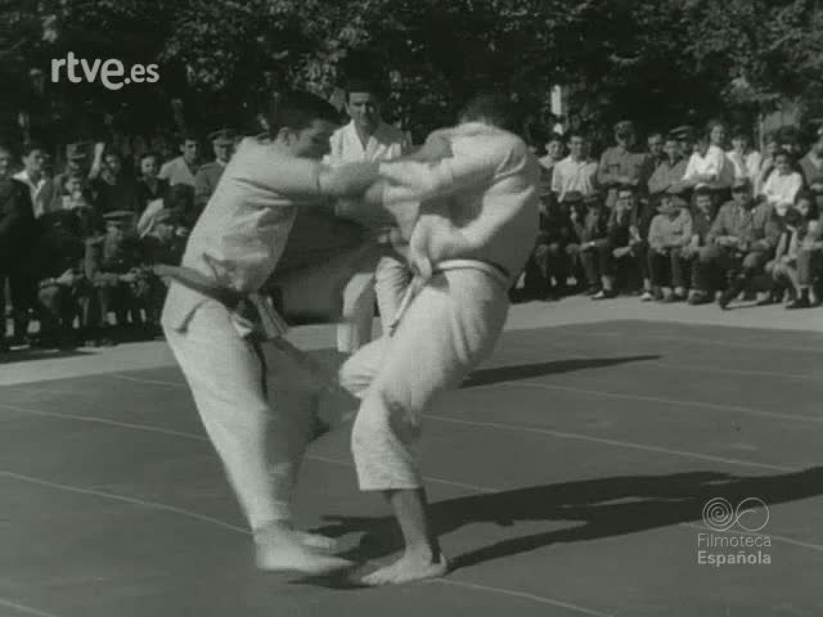 NOT N 1032 C - NO-DO | Ver