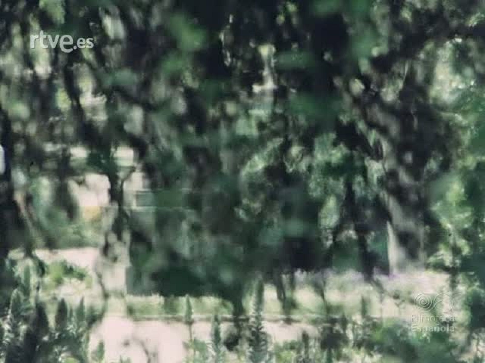 NOT N 1945 A - NO-DO | Ver