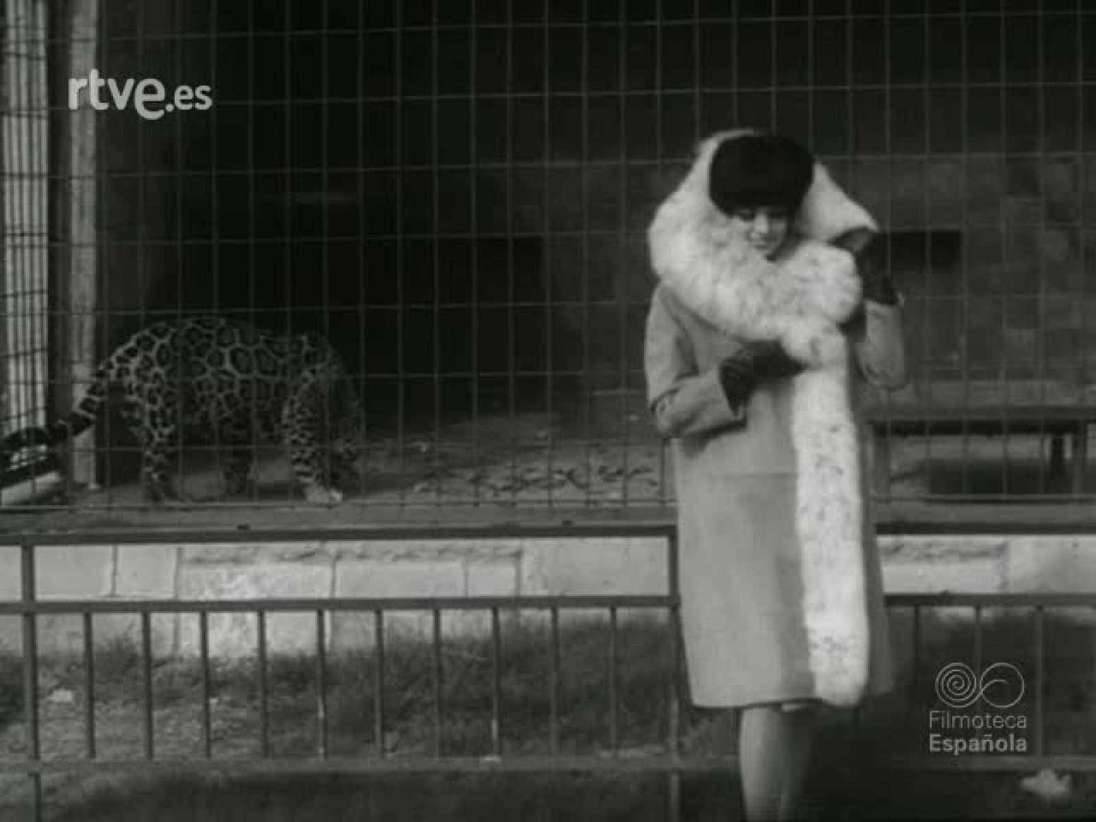 NOT N 1191 C - NO-DO | Ver