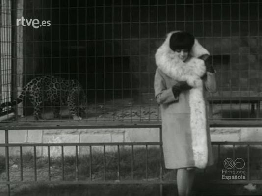 NO-DO - NOT N 1191 C