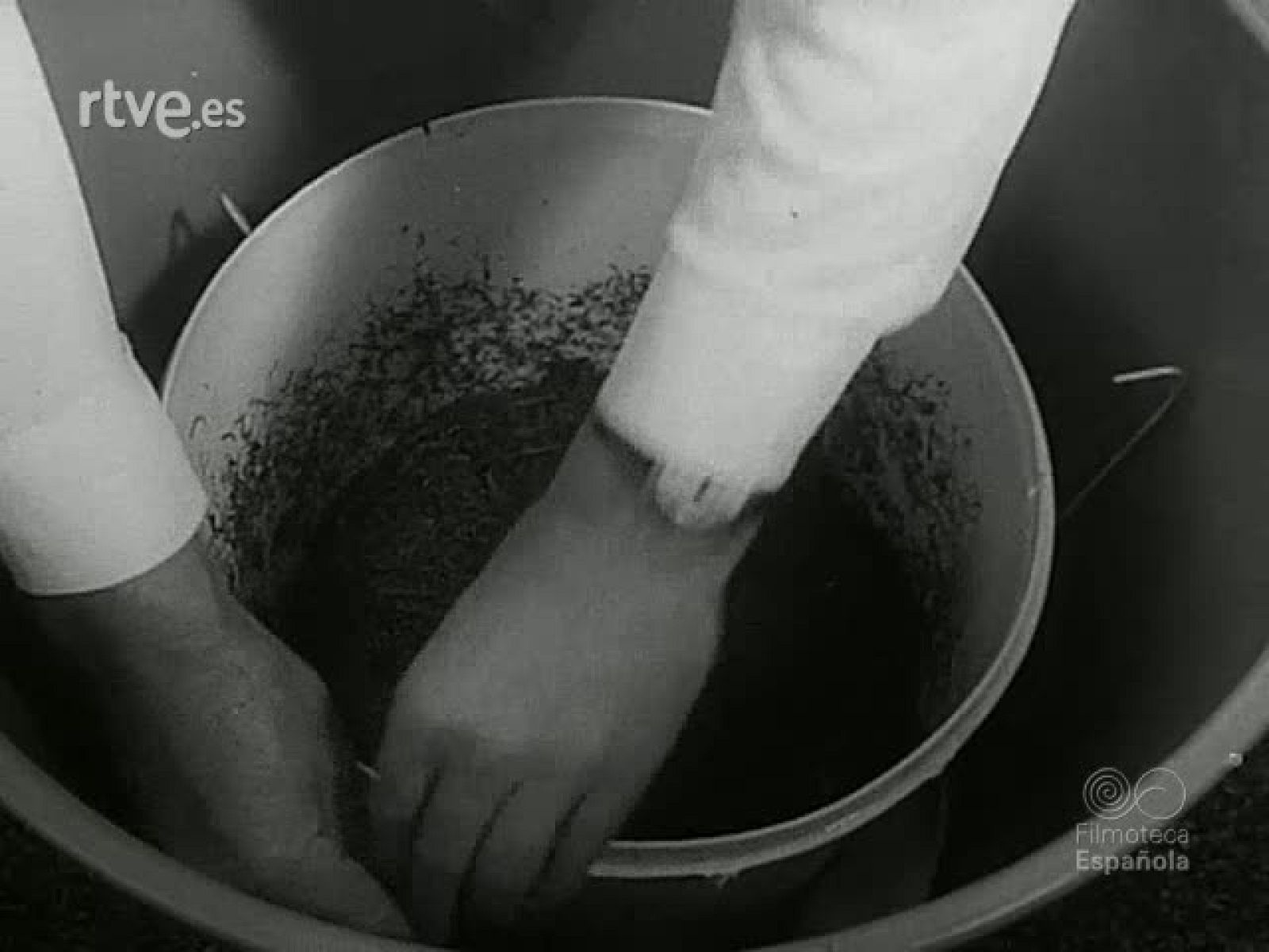 NOT N 1670 B - NO-DO | Ver