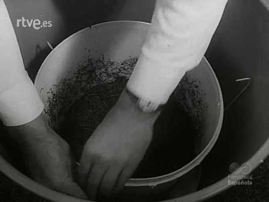 NO-DO - NOT N 1670 B