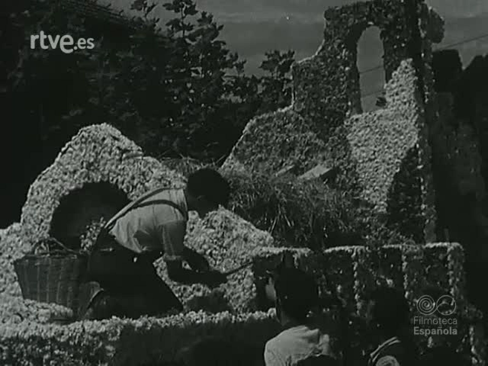 NOT N 454 B - NO-DO | Ver