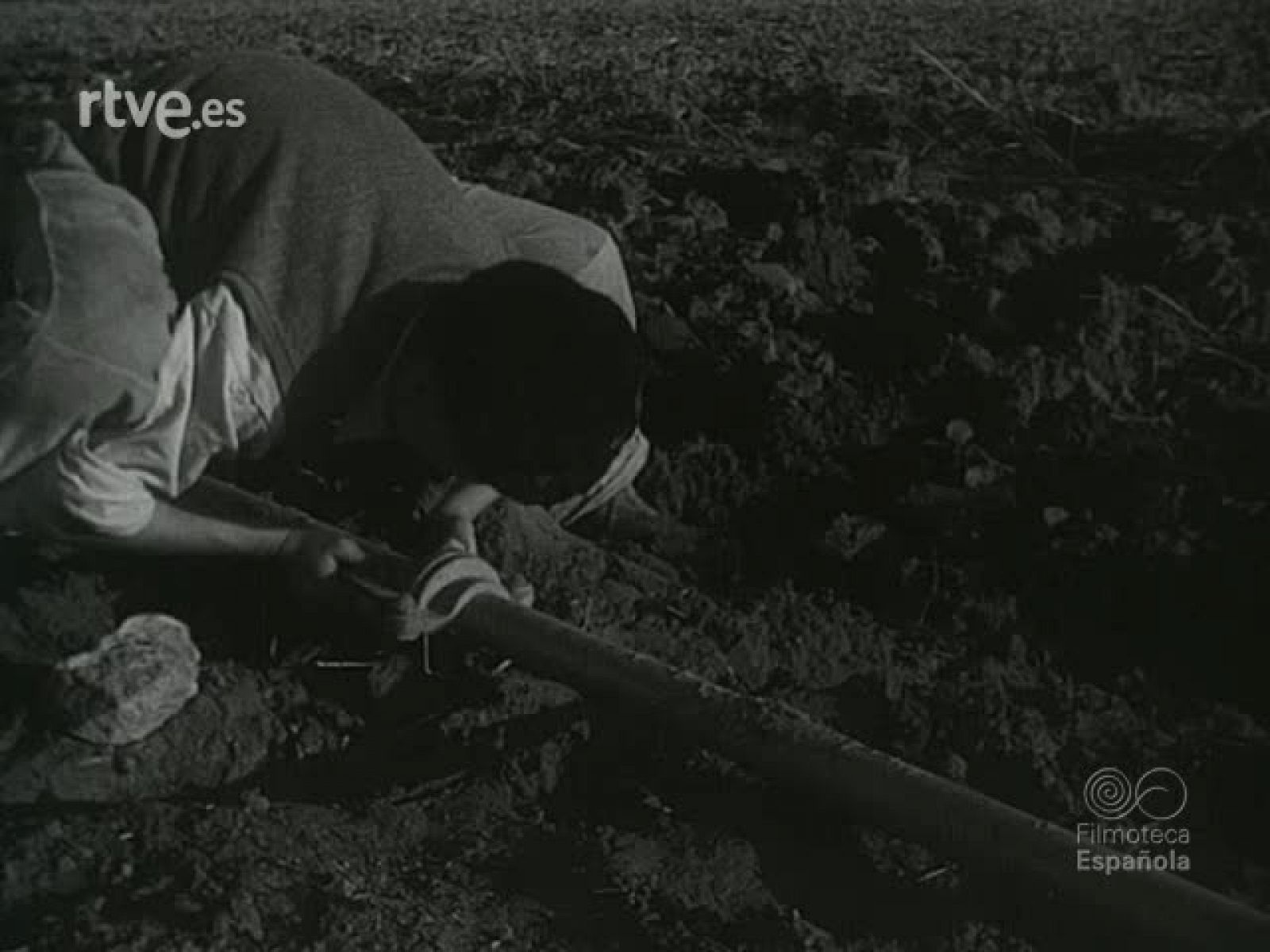 NOT N 529 B - NO-DO | Ver