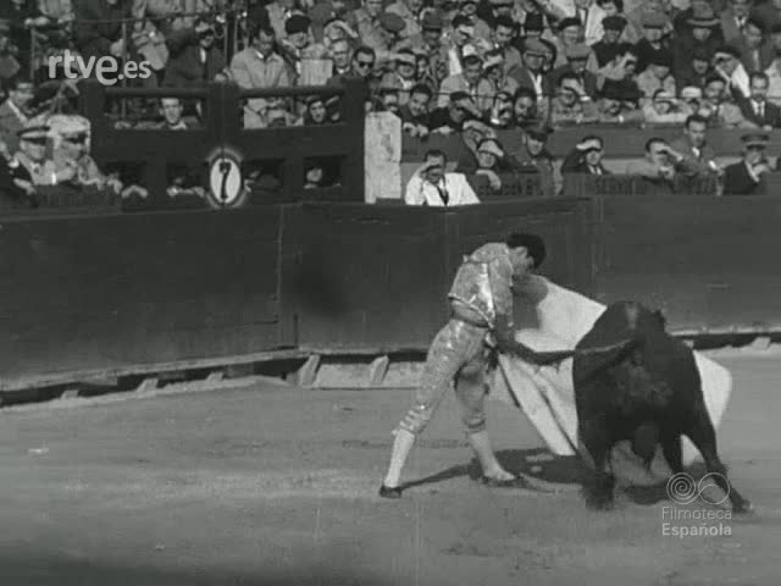 NOT N 638 A - NO-DO | Ver