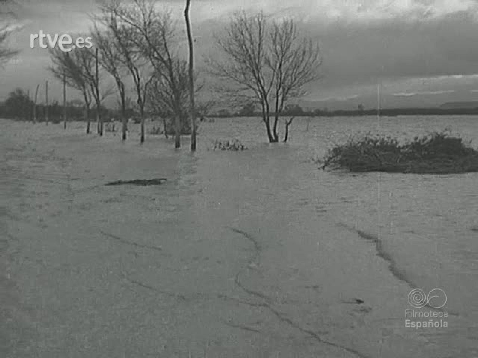 NOT N 476 B - NO-DO | Ver