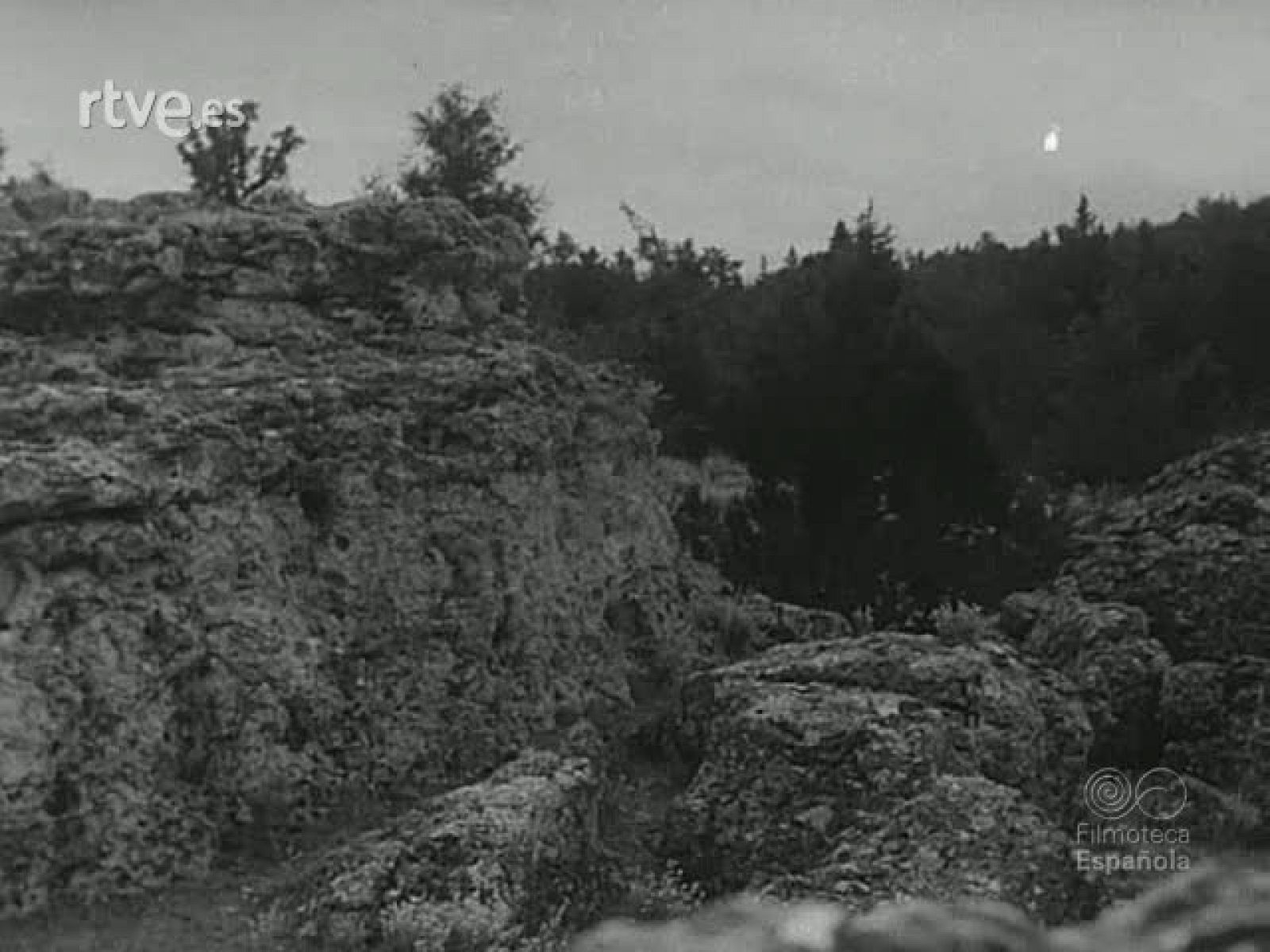 NOT N 600 B - NO-DO | Ver