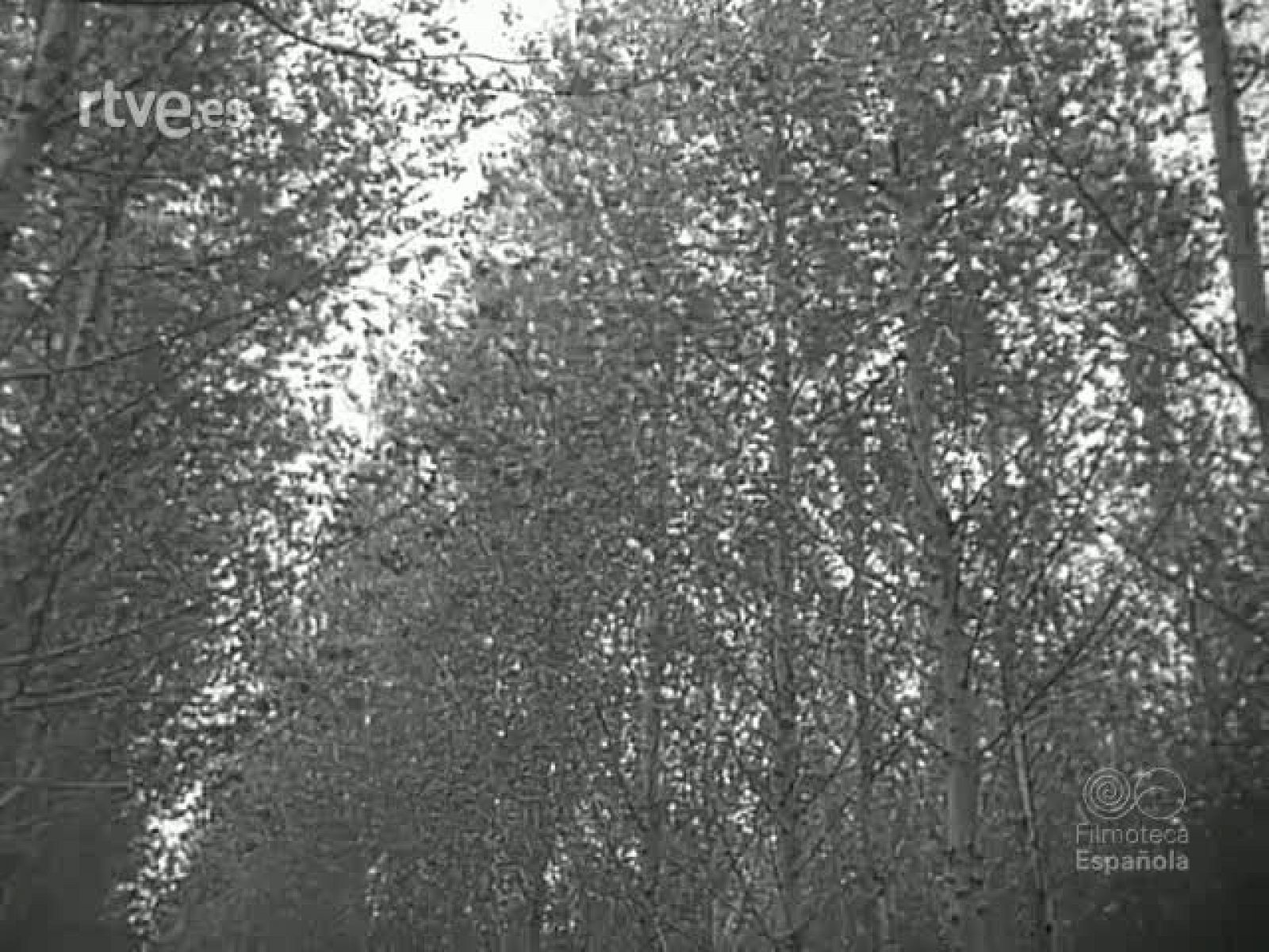 NOT N 644 A - NO-DO | Ver