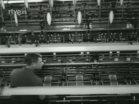 NO-DO - NOT N 1003 A