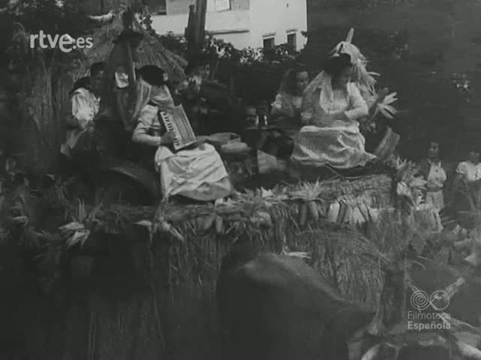 NOT N 560 A - NO-DO | Ver