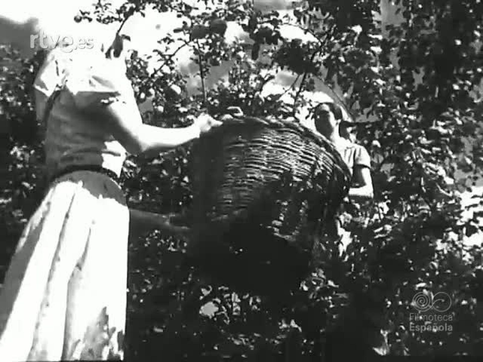 NOT N 564 A - NO-DO | Ver