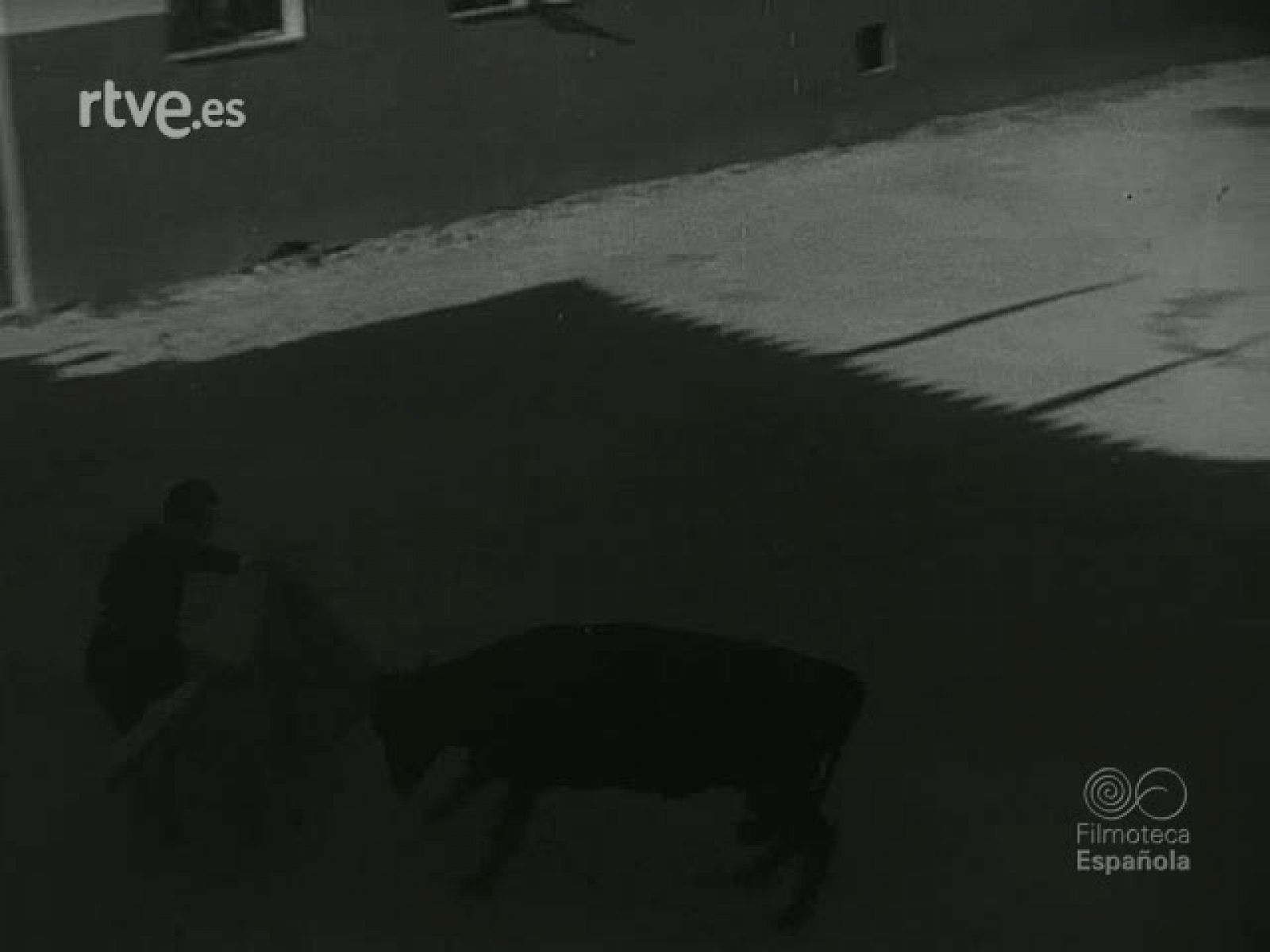 NOT N 544 B - NO-DO | Ver