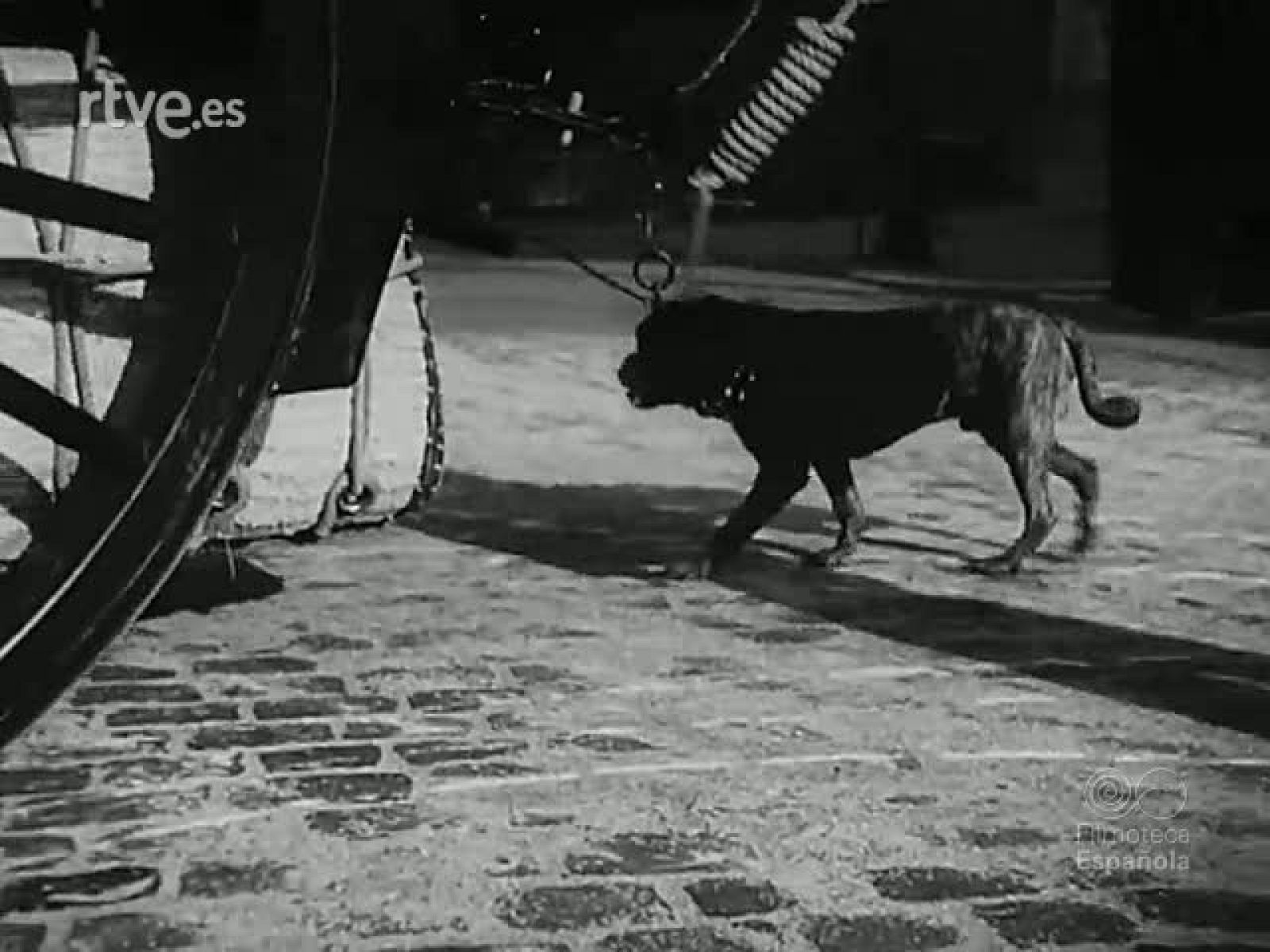 NOT N 577 A - NO-DO | Ver