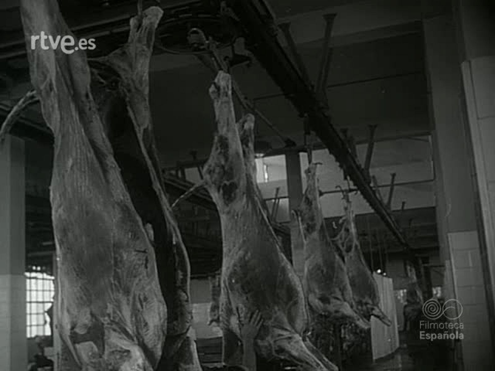 NOT N 716 A - NO-DO | Ver