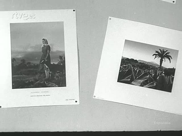 NOT N 677 A - RTVE.es