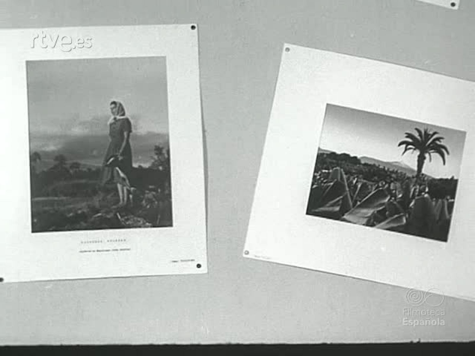 NOT N 677 A - NO-DO | Ver