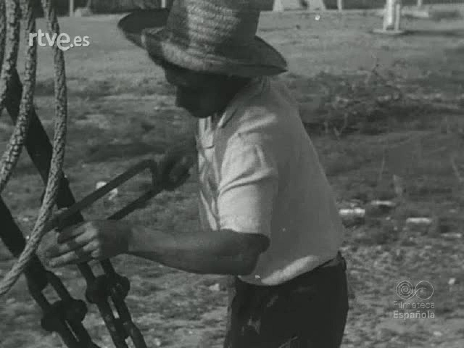 NOT N 675 B - NO-DO | Ver