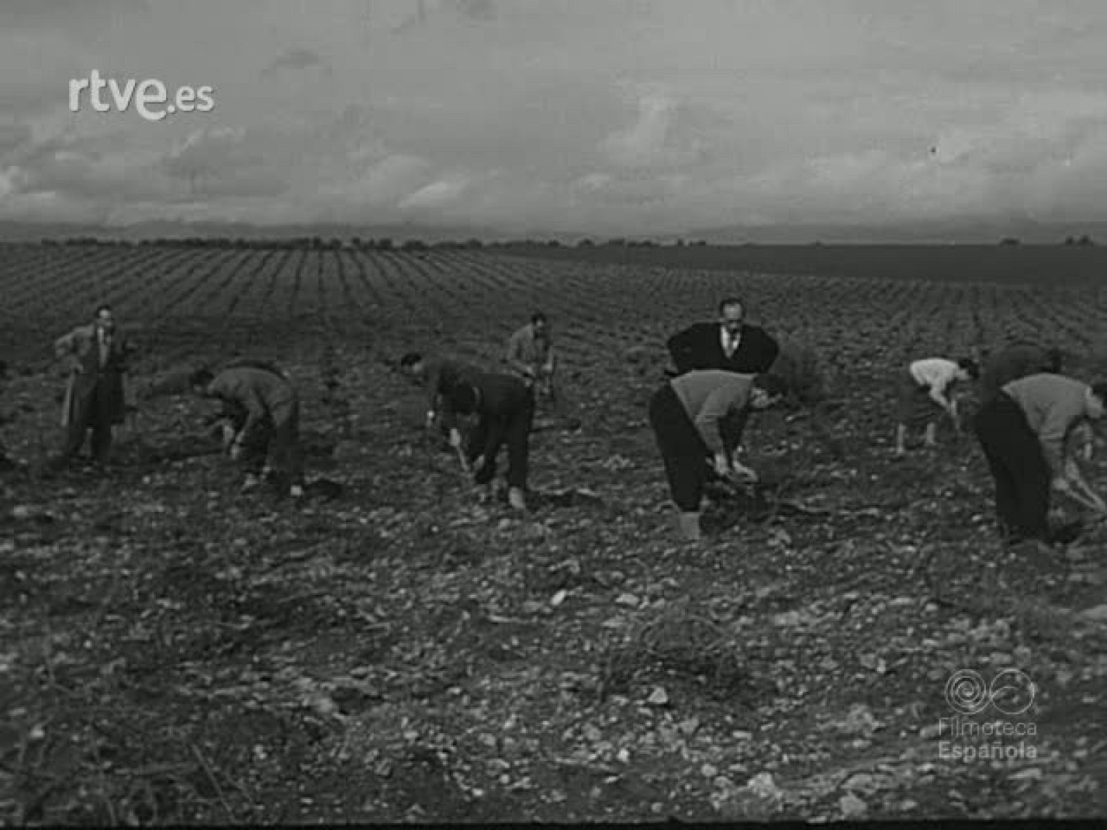 NOT N 684 A - NO-DO | Ver