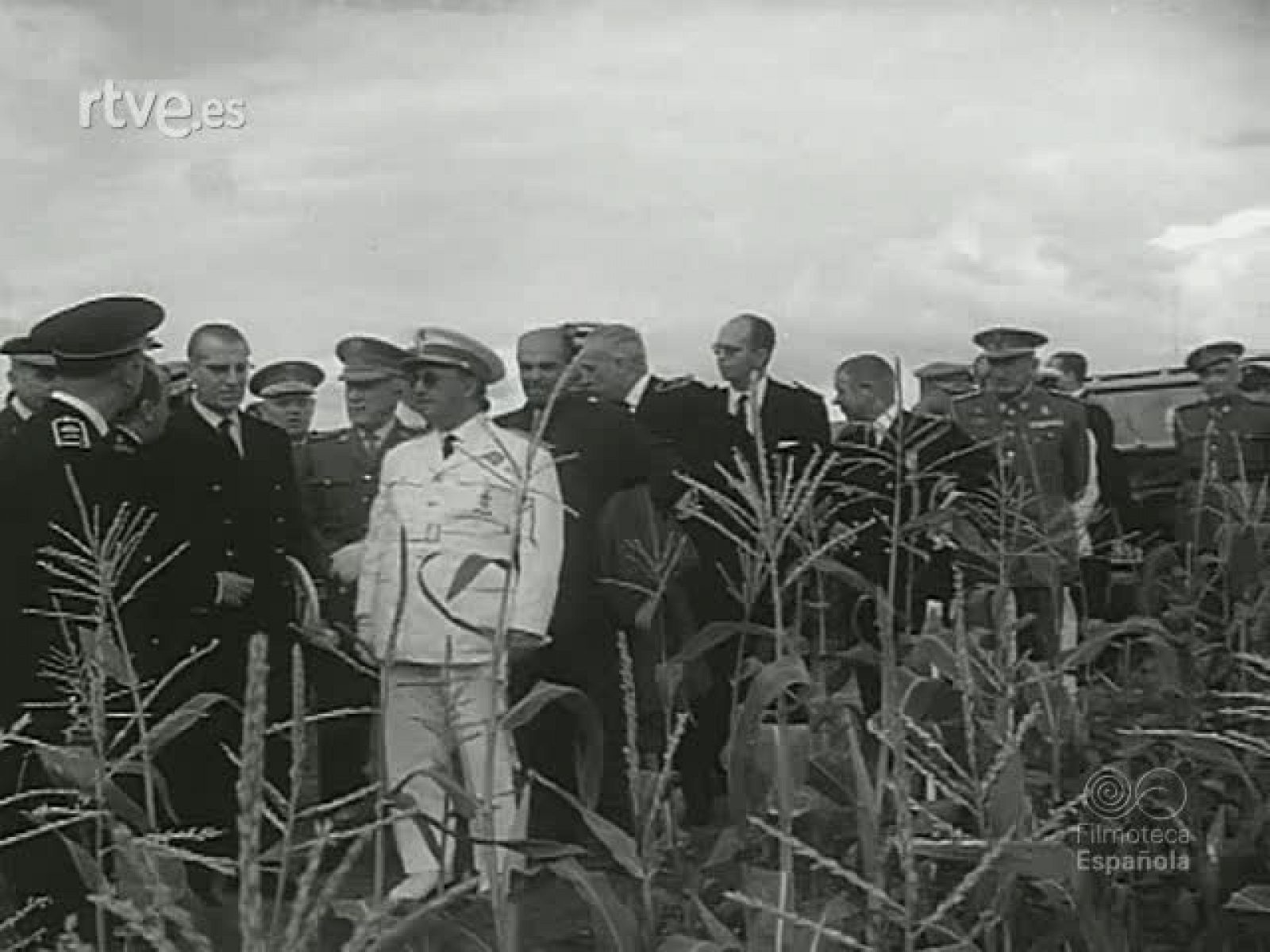 NOT N 819 A - NO-DO | Ver