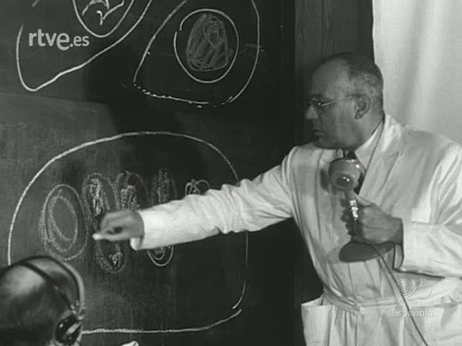 NOT N 696 B - NO-DO | Ver