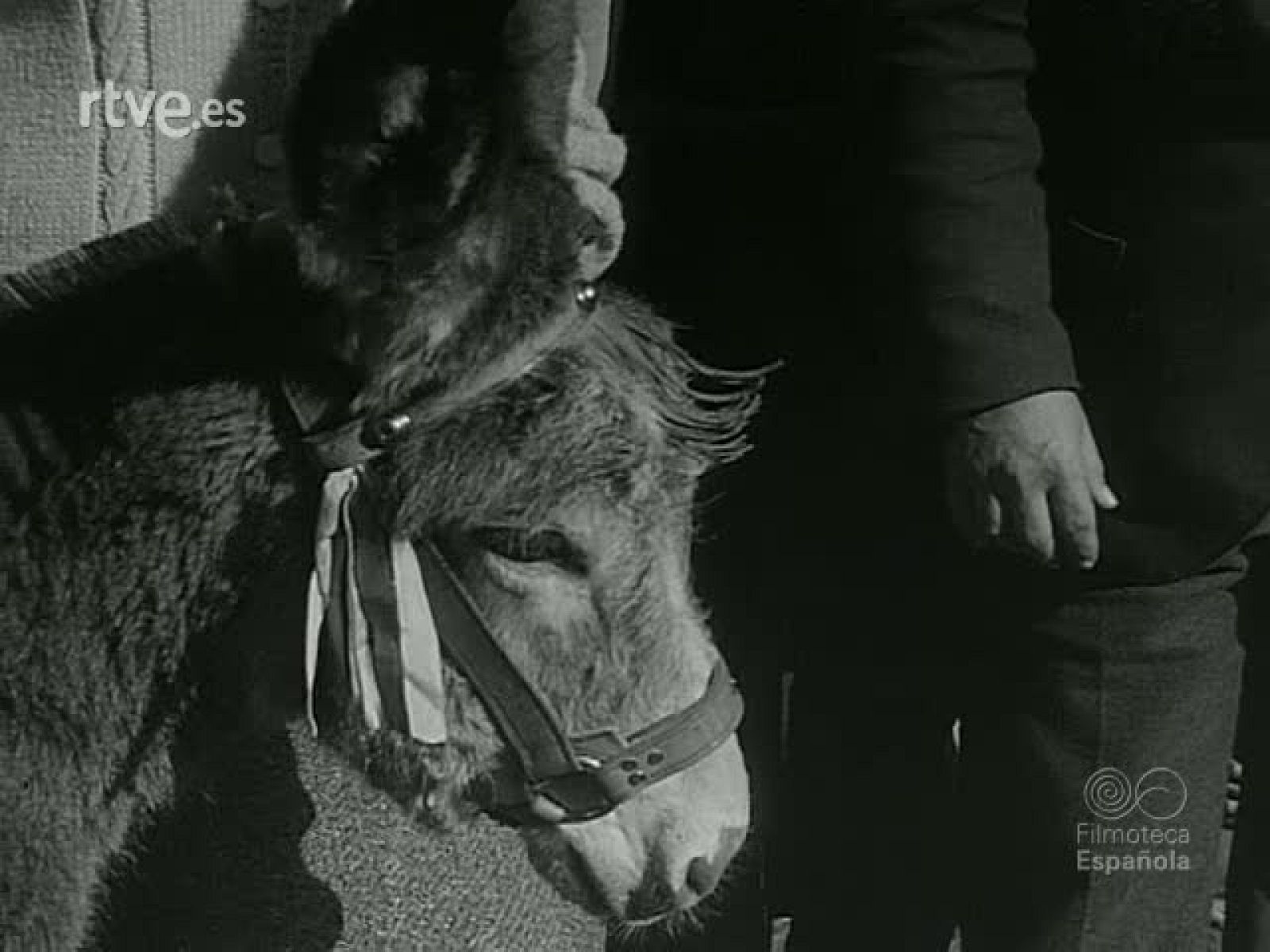 NOT N 778 A - NO-DO | Ver